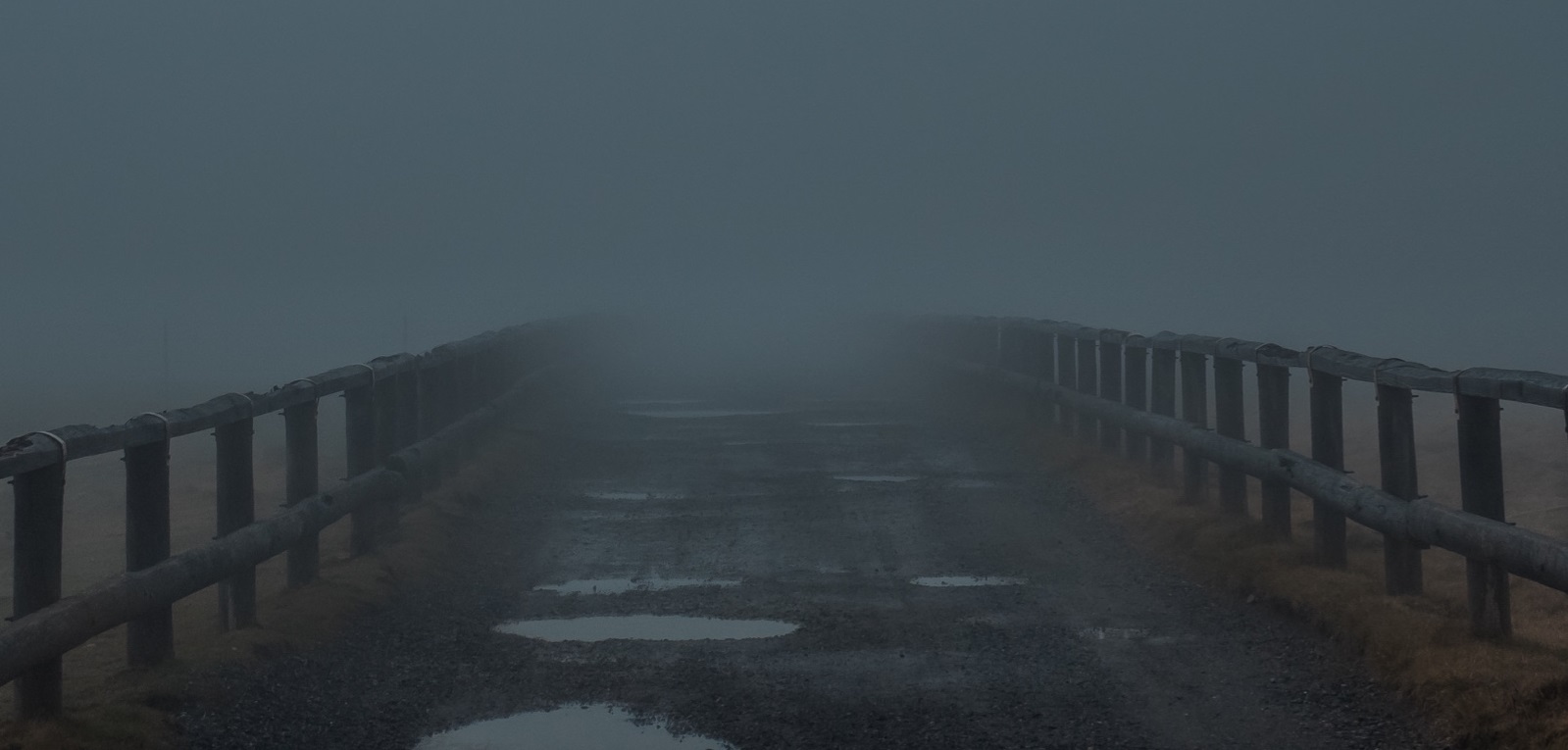 Album #3 & Single Announcement!